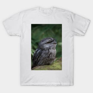 Tawny Stare T-Shirt